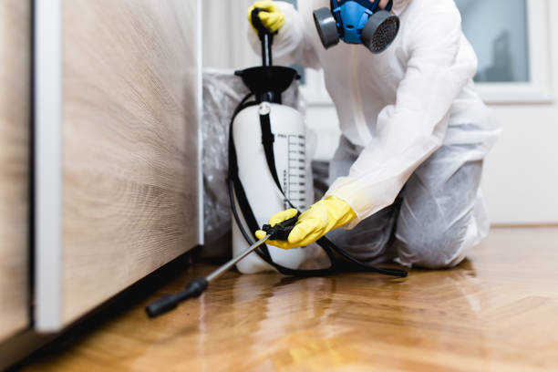 Best Best Pest Control Companies  in Rpinteria, CA