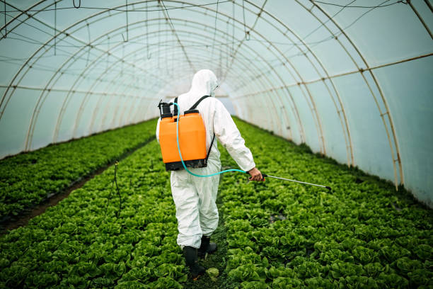 Best Exterminator Services  in Rpinteria, CA