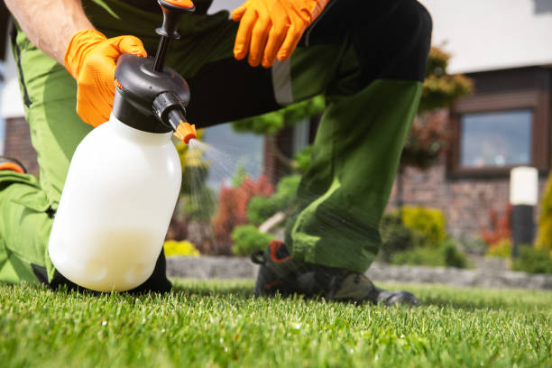 Best Best Pest Control Companies  in Rpinteria, CA