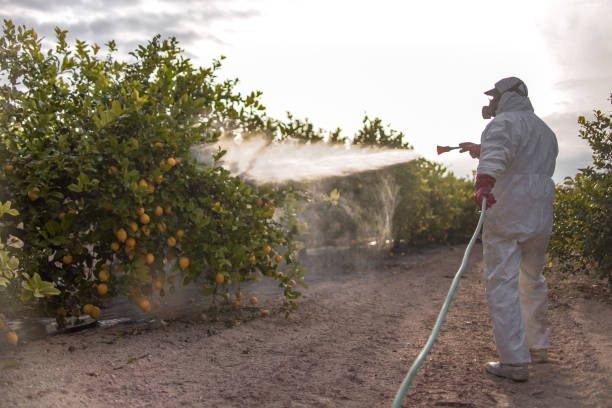 Best Residential Pest Control  in Rpinteria, CA