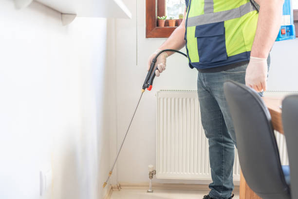 Best Pest Inspection Near Me  in Rpinteria, CA