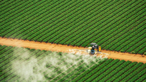 Best Commercial Pest Control Services  in Rpinteria, CA