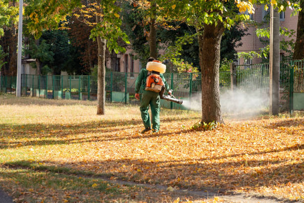 Wildlife Control Services in Carpinteria, CA