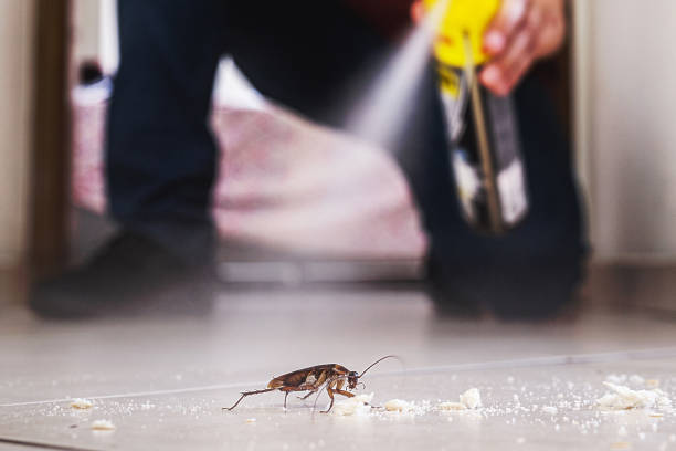 Carpinteria, CA Pest Control Company