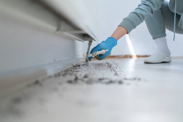 Best Cockroach Control Services  in Rpinteria, CA
