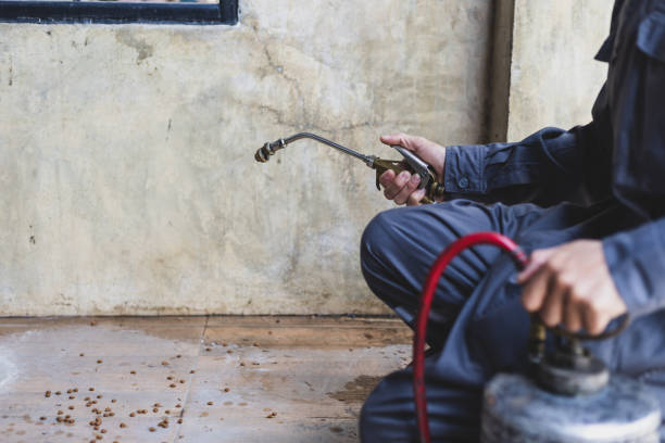 Best Pest Control Near Me in Carpinteria, CA